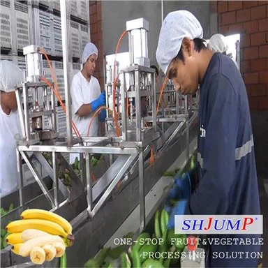 Muz Püresi İşleme Hattı