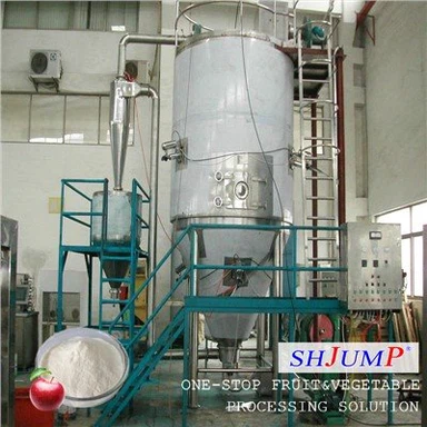 Elma Tozu İşleme Hattı