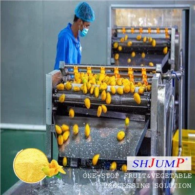 Mango Tozu İşleme Hattı