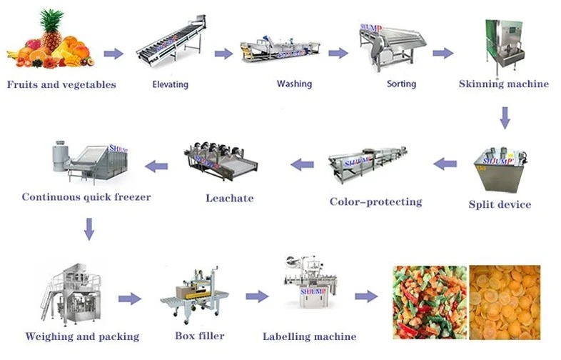 dried apricot flowchart dried apricot flowchart