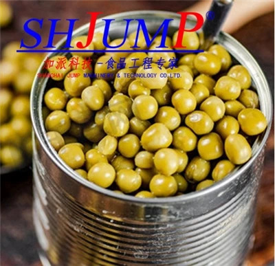 Konserve fasulye üretim hattı