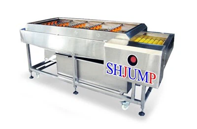 Sebze ve Meyve Temizleme Makinası