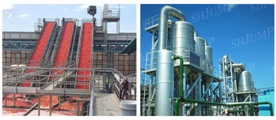 Anahtar Teslimi Çözüm Domates Salçası Konsantrasyon Üretim Hattı